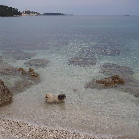 Apartments Mirta Rovinj Exterior foto